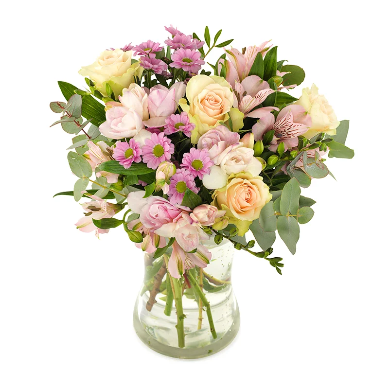Blommor att skicka till sjukhus